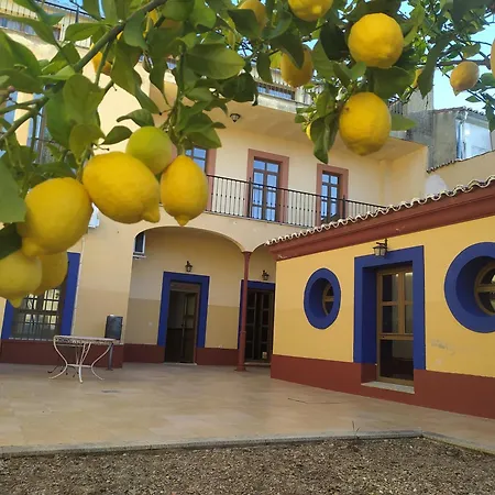 Hotell Jayca Trujillo