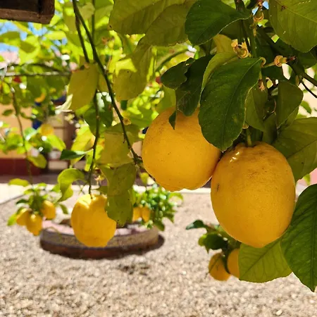 Jayca Ξενοδοχείο Trujillo