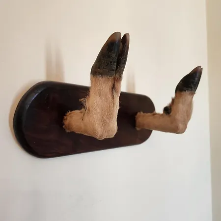 Jayca Ξενοδοχείο Trujillo