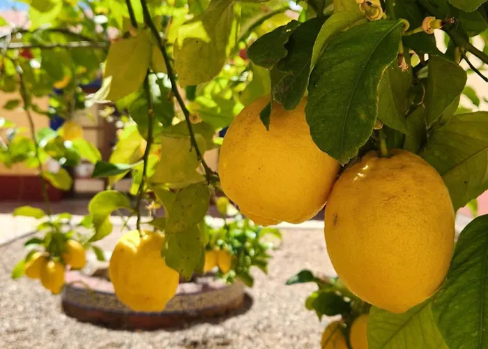 Jayca Hotel Trujillo