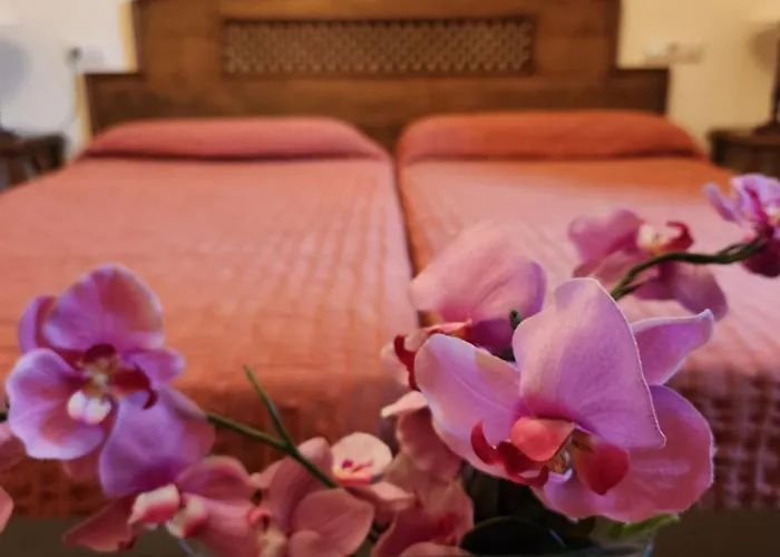 Hotell Jayca Trujillo