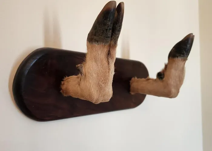 Jayca Hotel Trujillo